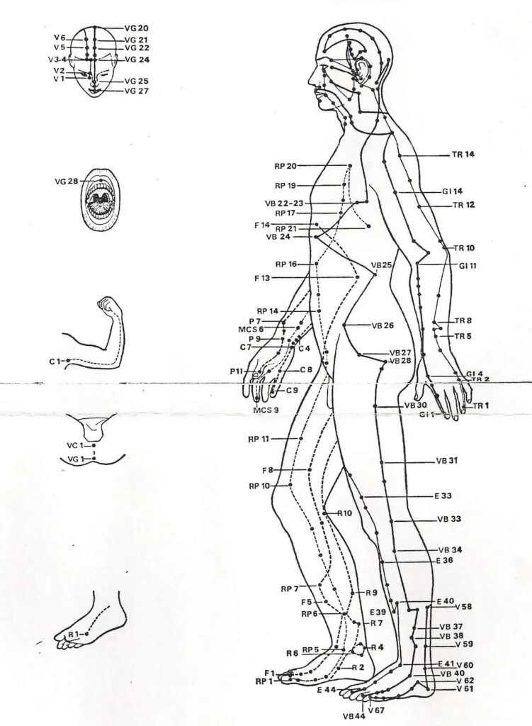 Les points d'acupuncture : clés pour dénouer les nœuds énergétiques Les points d'acupuncture : clés pour dénouer les nœuds énergétiques