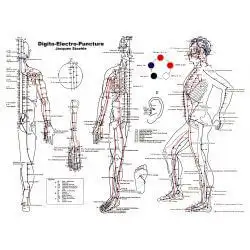 Les points d'acupuncture : clés pour dénouer les nœuds énergétiques Les points d'acupuncture : clés pour dénouer les nœuds énergétiques