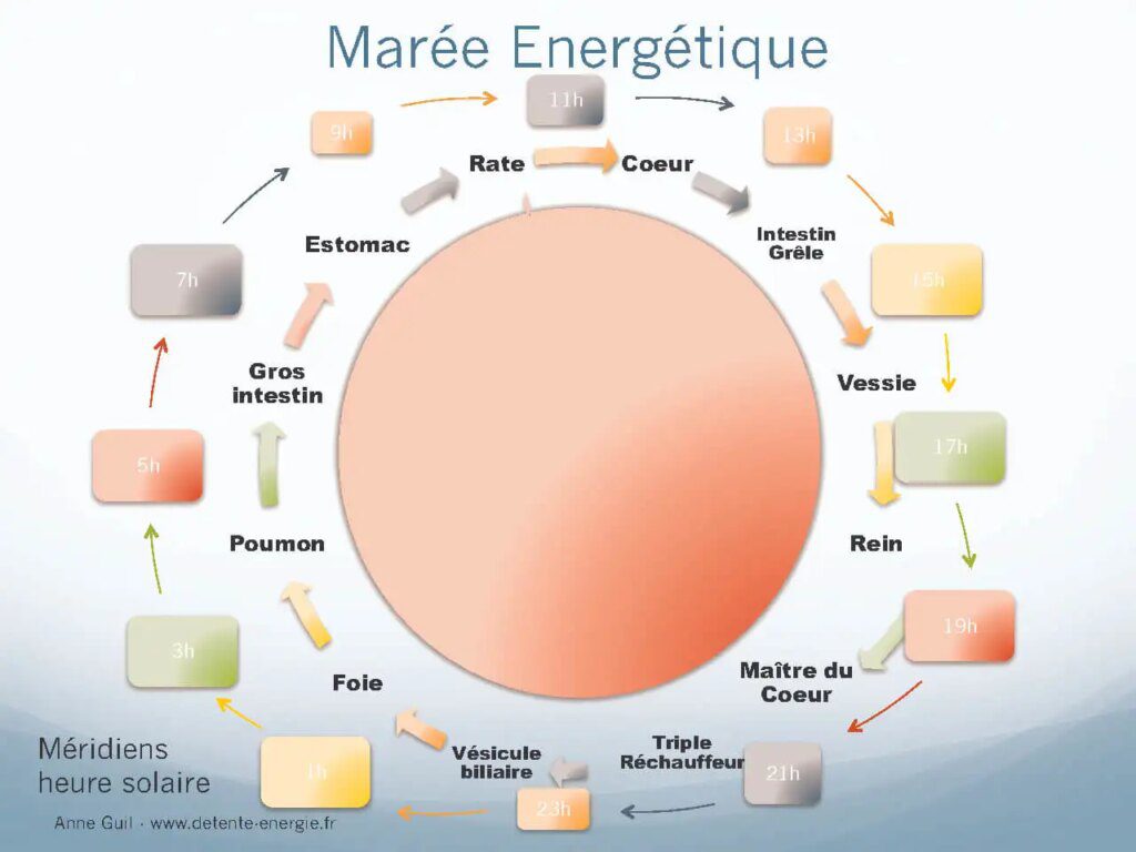 Comment la médecine traditionnelle chinoise harmonise le flux d'énergie Comment la médecine traditionnelle chinoise harmonise le flux d'énergie