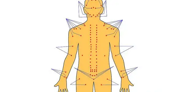 Les points d'acupuncture : clés pour dénouer les nœuds énergétiques Les points d'acupuncture : clés pour dénouer les nœuds énergétiques