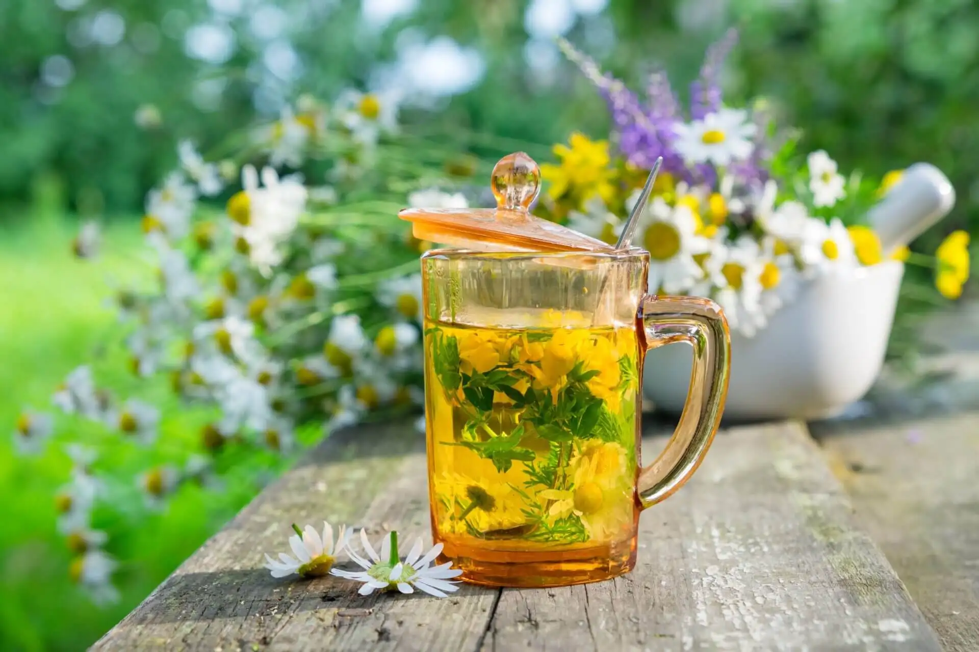Découvrez 5 tisanes relaxantes pour le soir