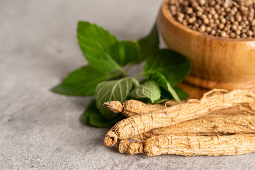 Les plantes immunostimulantes à privilégier pour l'hiver 2025 Les plantes immunostimulantes à privilégier pour l'hiver 2025