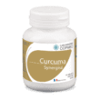 Curcuma synergisé