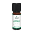 Eucalyptus