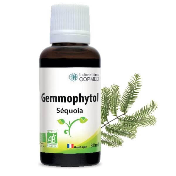 Gemmophytol Séquoia – Image 3