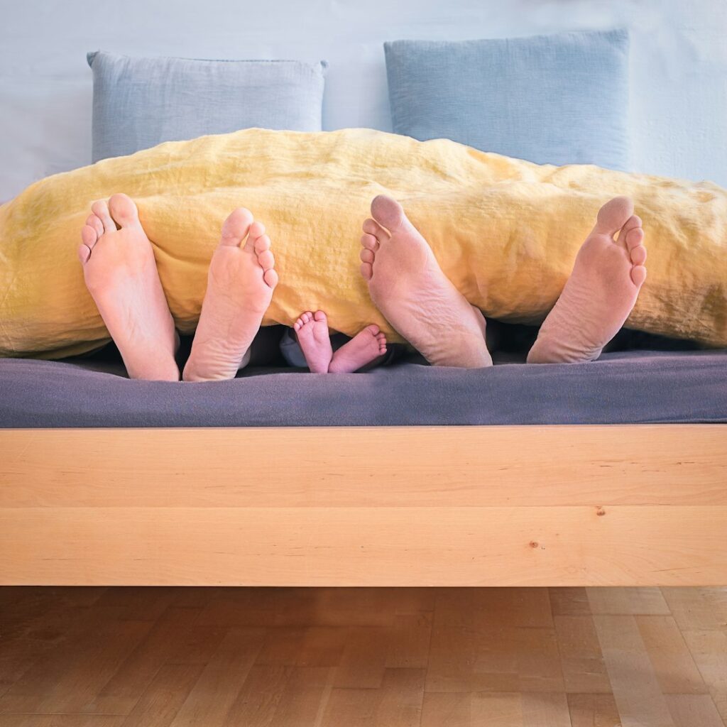 Les 7 bienfaits de l'huile essentielle d'eucalyptus radié en hiver Les 7 bienfaits de l'huile essentielle d'eucalyptus radié en hiver