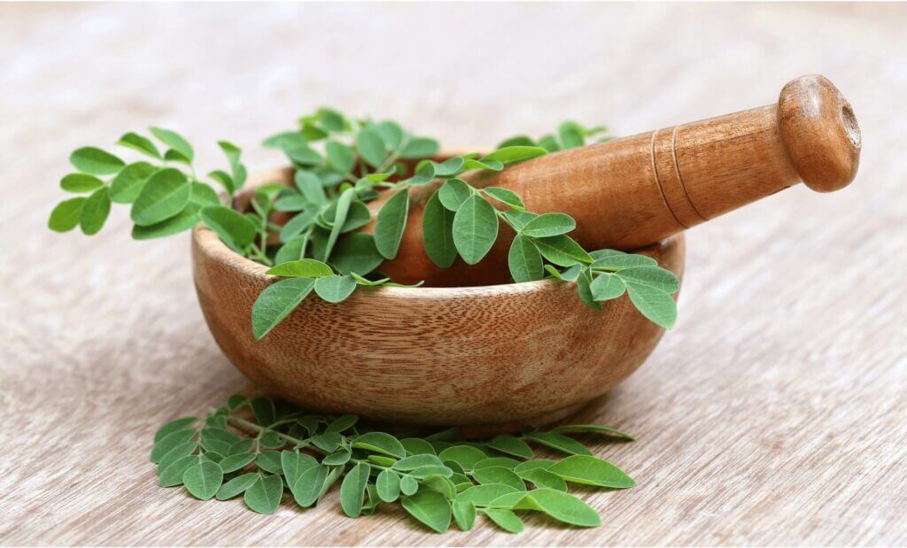 Les bienfaits du moringa sur la santé : le super aliment qui change tout Les bienfaits du moringa sur la santé : le super aliment qui change tout