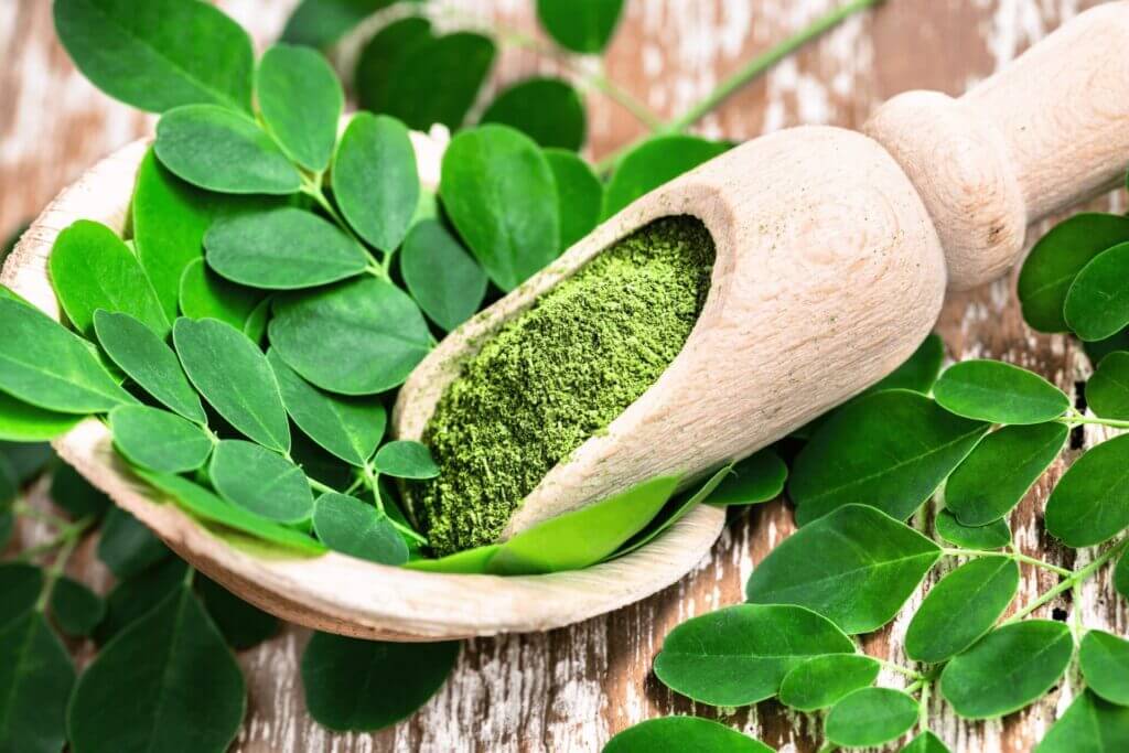 Les bienfaits du moringa sur la santé : le super aliment qui change tout Les bienfaits du moringa sur la santé : le super aliment qui change tout