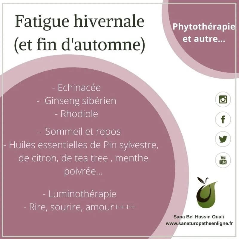 Naturopathie : comment booster votre énergie naturellement ? Naturopathie : comment booster votre énergie naturellement ?