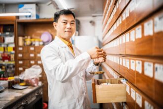 Comment la médecine chinoise s'adapte aux défis modernes de santé