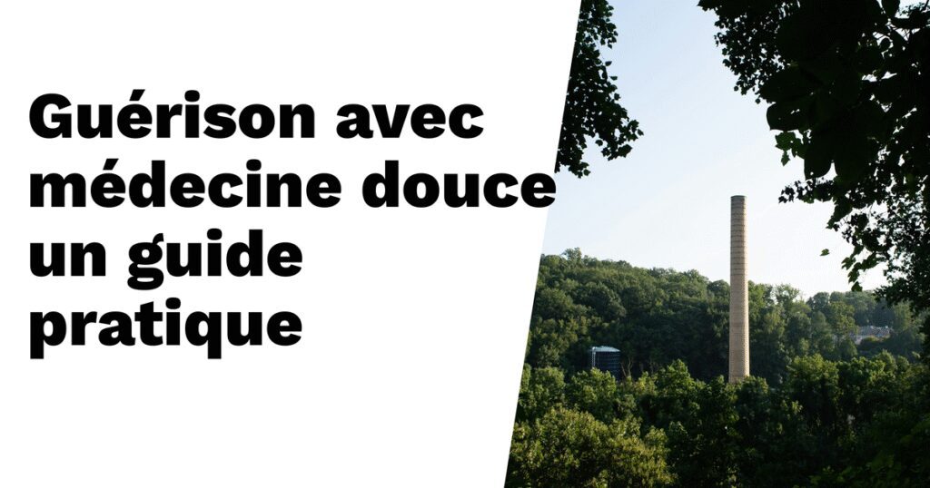 Guérison avec les méthodes de médecine douce : un guide pratique Guérison avec les méthodes de médecine douce : un guide pratique
