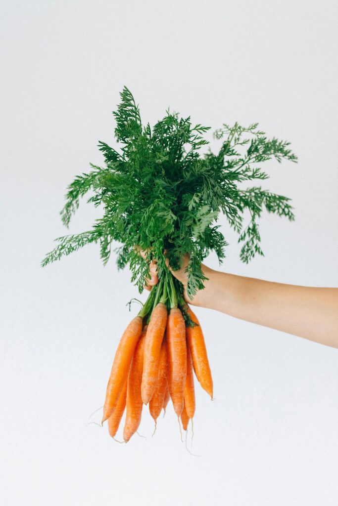 10 aliments riches en carotène à consommer avant l'été 10 aliments riches en carotène à consommer avant l'été