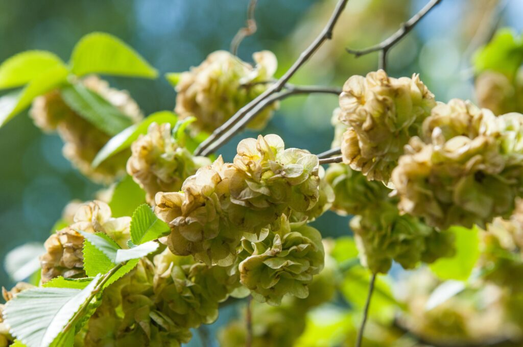 Les 4 meilleurs ingrédients naturels pour combattre l'eczéma Les 4 meilleurs ingrédients naturels pour combattre l'eczéma