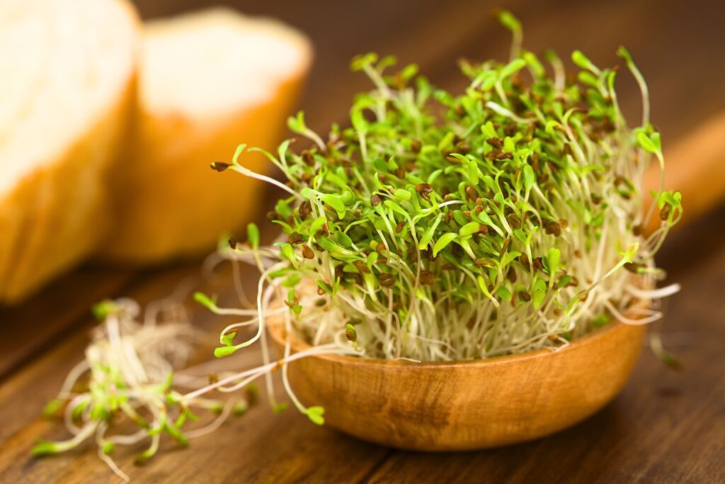 L'alimentation bioénergétique : 7 aliments qui amplifient votre champ énergétique naturellement