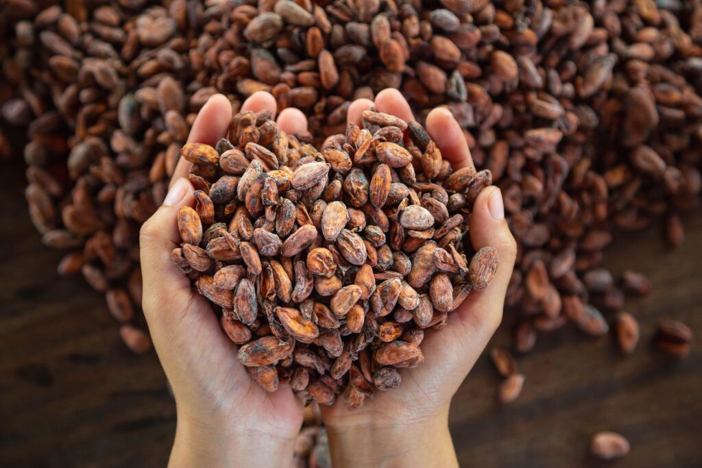 L'alimentation bioénergétique : 7 aliments qui amplifient votre champ énergétique naturellement