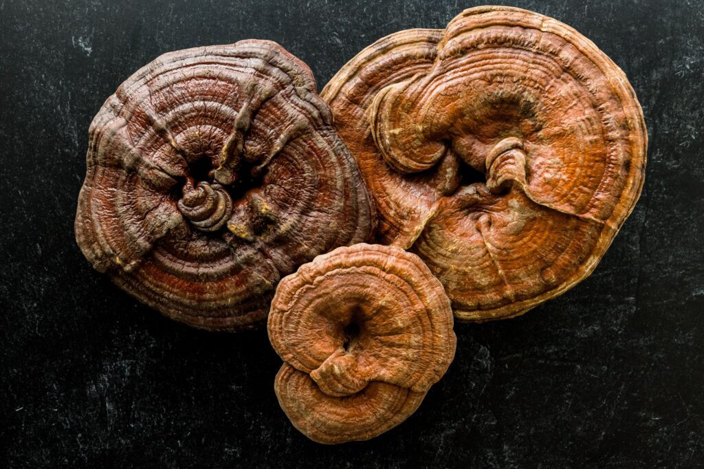 L'alimentation bioénergétique : 7 aliments qui amplifient votre champ énergétique naturellement