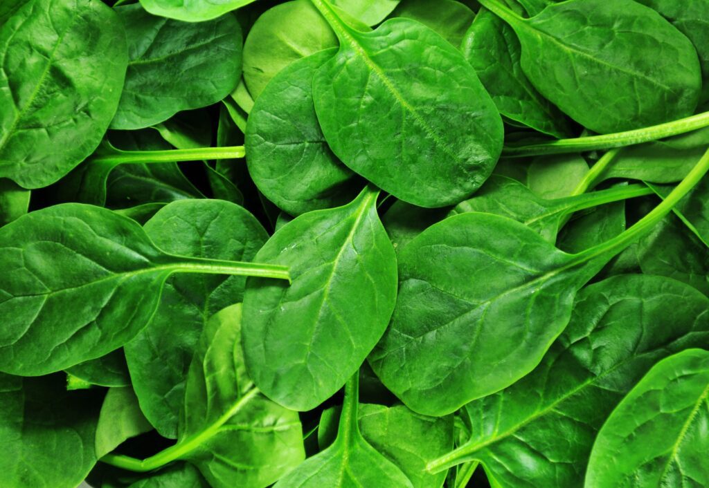 10 aliments riches en carotène à consommer avant l'été 10 aliments riches en carotène à consommer avant l'été