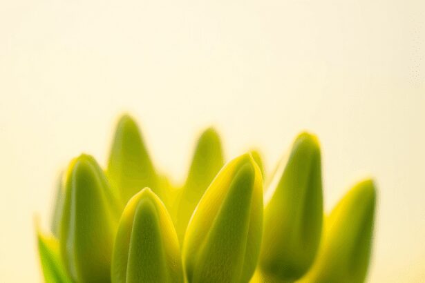 Gros plan de bourgeons de plantes vertes fraîches brillant doucement contre un fond pastel serein, symbolisant la vitalité et l'équilibre émotionnel.