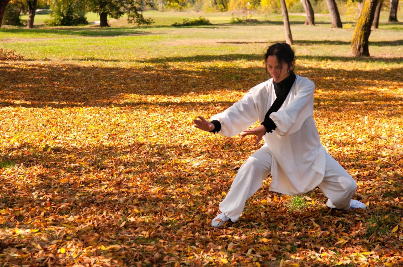 Initiation au Qi Gong : mouvements essentiels pour un équilibre énergétique durable