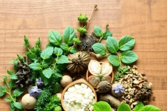 Diverses herbes et plantes adaptogènes disposées sur une surface en bois avec des tons verts doux et terreux, évoquant un soulagement naturel du st...