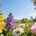 Fleurs de Bach et émotions : une approche personnalisée pour chaque profil