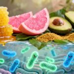 Prendre soin de son microbiote intestinal grâce aux superaliments naturels tendance cette année